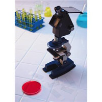 B型肝炎ウイルス発見の歴史