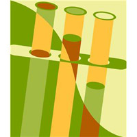 B型肝炎ウイルスは主に血液によって感染します