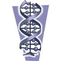 B型肝炎の抗体と抗原とは何